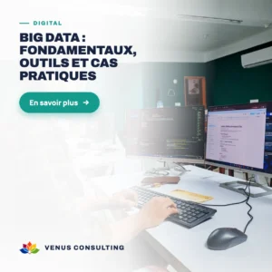 Big Data : fondamentaux, outils et cas pratiques